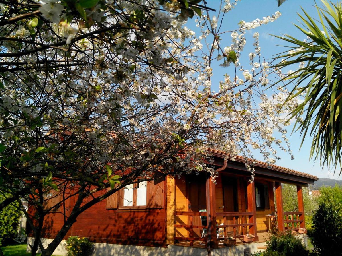 Mi Cabana Villa Ribadumia ภายนอก รูปภาพ